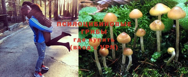сатива Навашино