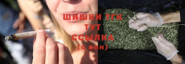 сатива Навашино