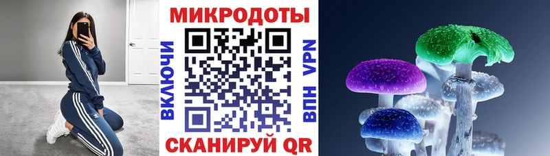 Галлюциногенные грибы мицелий  как найти закладки  Приволжск 