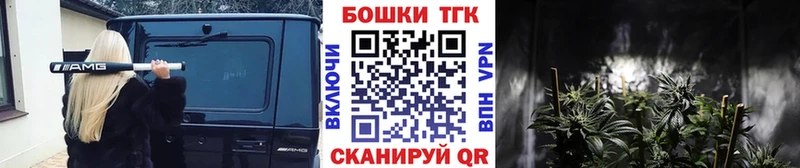 наркотики  Приволжск  Шишки марихуана VHQ 